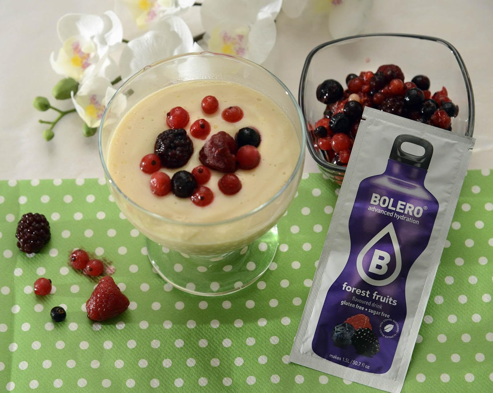 PUDING OD VANILIJE &amp; BOLERO